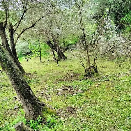 アパート Olivari - Il Melograno