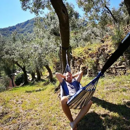 Olivari - Il Melograno * カモーリ