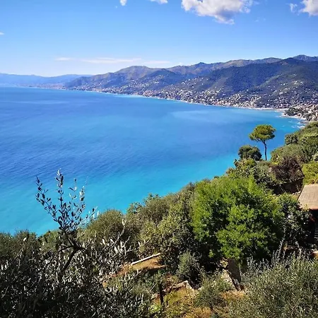 アパート Olivari - Il Melograno カモーリ