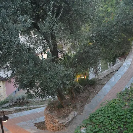 Olivari - Il Melograno Camogli